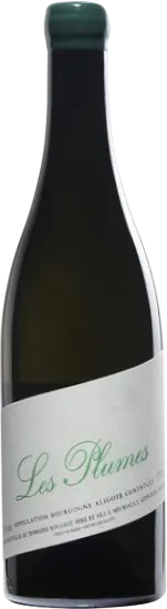 vue du vin Aoc Bourgogne Aligoté les Plumes Blanc 2023 Sans Soufre Ajouté Domaine Rougeot Père et Fils