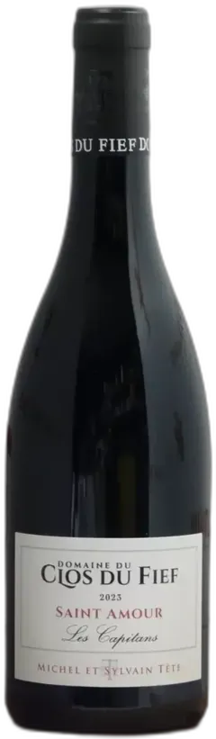 capture du vin Saint Amour Domaine du Clos du Fief "les Capitans" 2022