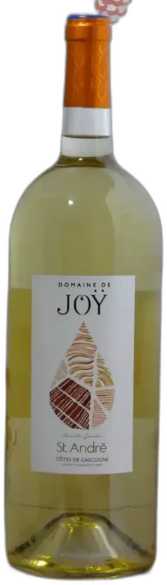 vue du vin Côtes de Gascogne Domaine de Joÿ "Saint-André" Magnum 2024