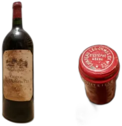 illustration du vin Château les Ormes de Pez 1998 Magnum