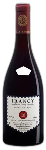 vue du vin Irancy 2023 Bailly-Lapierre