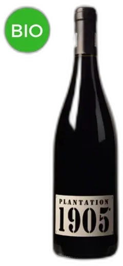 photo du vin Plantation 1905 2020 Domaine de la Tour Boisée