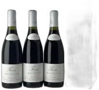 vue du vin Fixin Leroy 2009