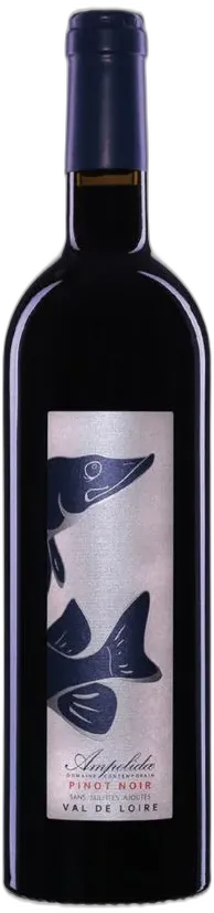 image du vin Pinot Noir Ampelidae