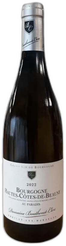 vue du vin Hautes Côtes de Beaune Domaine Bouthenet-Clerc