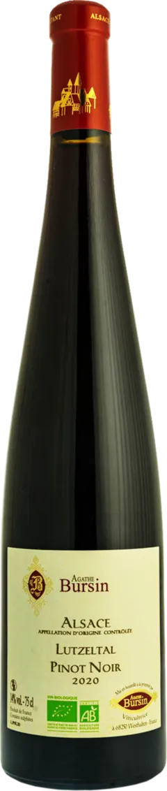 vue du vin Pinot Noir Lutzeltal