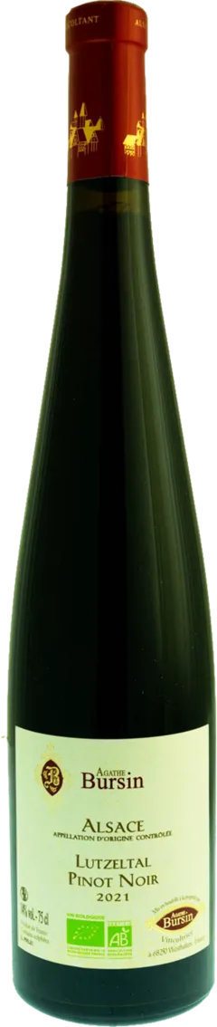 vue du vin Pinot Noir Lutzeltal