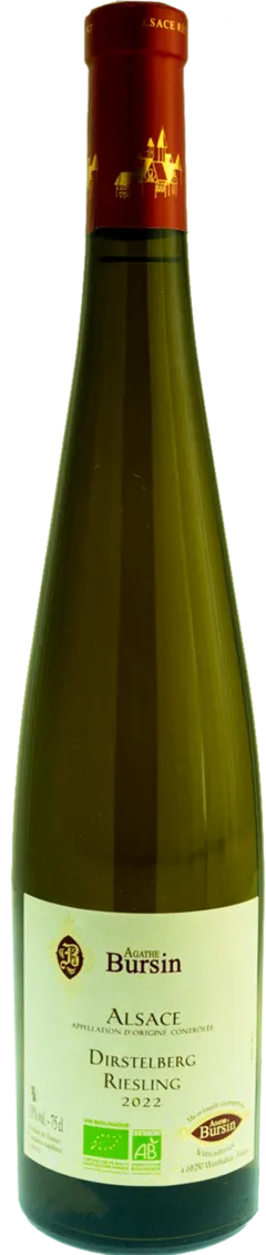 vue du vin Riesling Dirstelberg