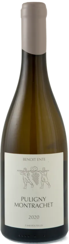 illustration du vin Puligny-Montrachet