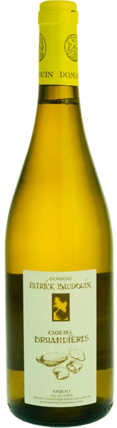 vue du vin Clos des Bruandieres