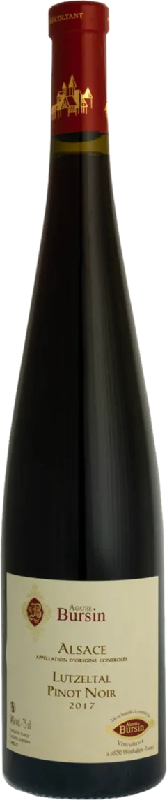 vue du vin Pinot Noir Lutzeltal