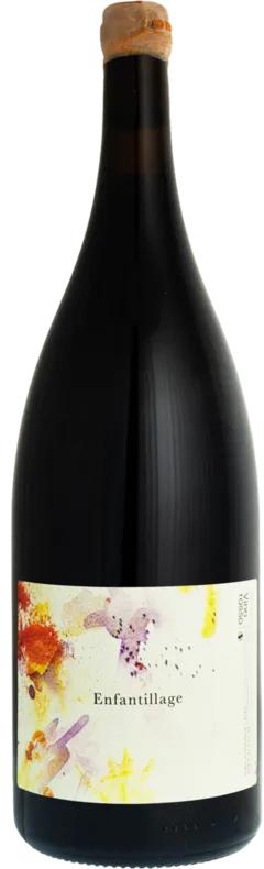 vue du vin Busardieres en Magnum