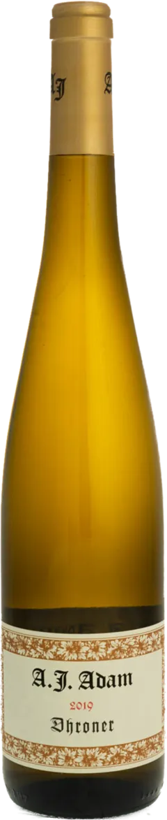 vue du vin Riesling Dhroner Trocken