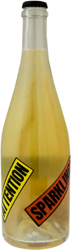 vue du vin Roditis Nature Petillant Naturel