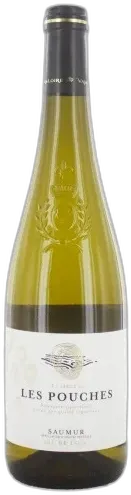 vue du vin Saumur les Pouches Alliance Loire