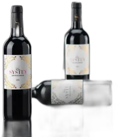 aperçu du vin Château Clos Systey