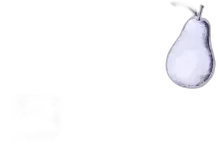 photo du vin Eau de Vie de Poires 45 Cazottes