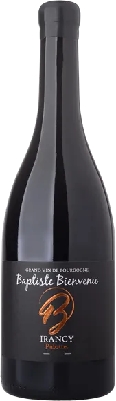 image du vin Irancy Palotte Rouge 2021 Baptiste Bienvenu