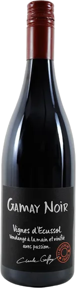 illustration du vin Beaujolais Villages Gamay Noir Rouge 2021 Château Thivin