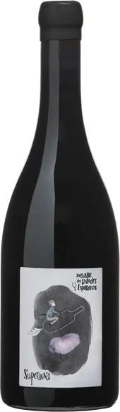 photo du vin Touraine Supernova Rouge 2020 Domaine des Grandes Espérances