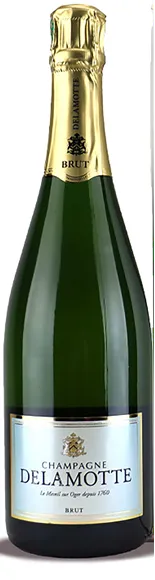 vue du vin Champagne Brut Etui Blanc Champagne Delamotte