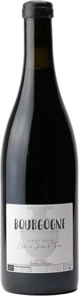 photo du vin Bourgogne Elevé en Jarre de Terre Rouge 2022 Bruno Dangin