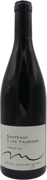 image du vin Santenay 1er Cru Clos Faubard Rouge 2022