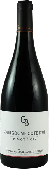 vue du vin Bourgogne Pinot Noir Rouge 2020 Domaine Guillaume Baduel