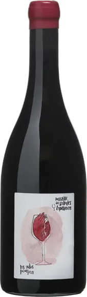 vue du vin Touraine les Ailes Pourpres Rouge 2020 Domaine des Grandes Espérances