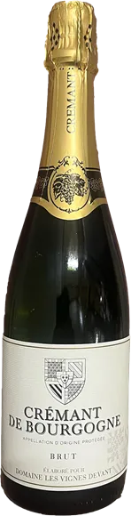 vue du vin Crémant de Bourgogne Rosé