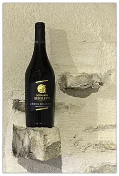 photo du vin Côtes du Jura Poulsard Rouge 2021 75cl- Alc. Domaine Geneletti