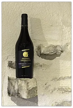 aperçu du vin Côtes du Jura Trousseau Rouge 2021 75cl-13 Domaine Geneletti