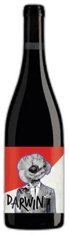 vue du vin Darwin Cabernet Jura Rouge 2021 Bio-Vdf-75cl-Alc. Vol. Wine Impact