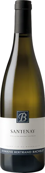 vue du vin Santenay Blanc 2024 Domaine Bertrand Bachelet