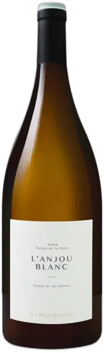 vue du vin l’Anjou Blanc 2023 Magnum