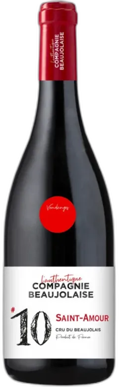 vue du vin Saint-Amour 2023