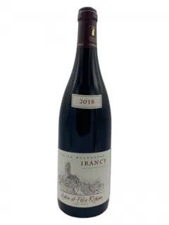 vue du vin Irancy Gabin et Felix Richoux