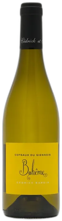 image du vin Dom. Bardin Coteaux du Giennois