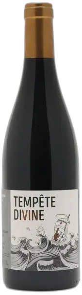 image du vin Dom. Dupond Brouilly Tempête Divine