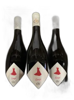 photos du vin Chinon Rouge Robe Rouge Clothilde Pain