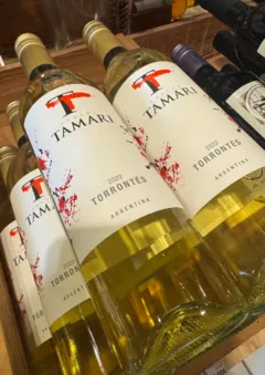 vue du vin Tamari Blanc Torrontes