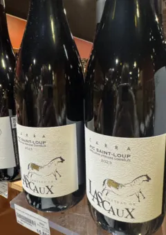 photo du vin Pic Saint Loup Carra Chateau Lascaux Biody