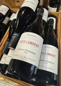 illustration du vin Saumur Champigny Yves Lambert a Lambert Bio
