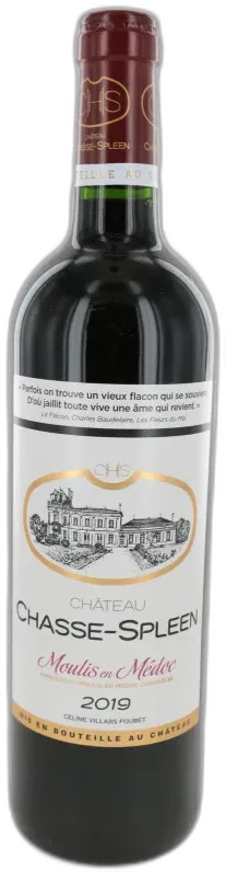 image du vin Château Chasse Spleen 2019