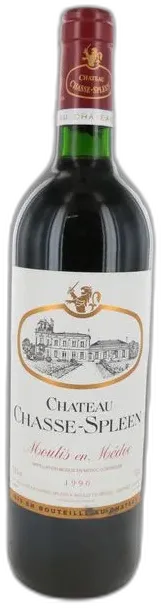photo du vin Château Chasse Spleen 1996