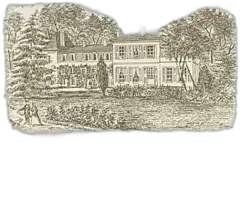 photo du vin Château Saint Pierre 2003