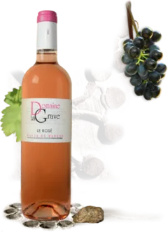photo du vin Domaine la Grave "le " Igp Hauts de Badens