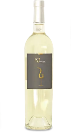 photo du vin Château de Ventenac "Marie Thérèse" Aop Minervois