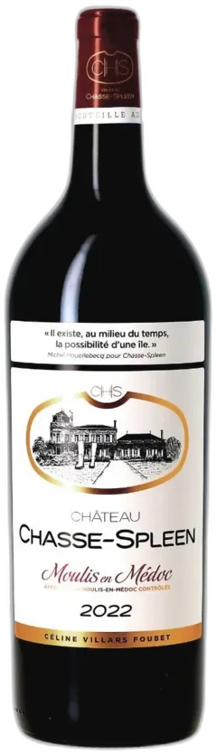 image du vin Château Chasse-Spleen 2022