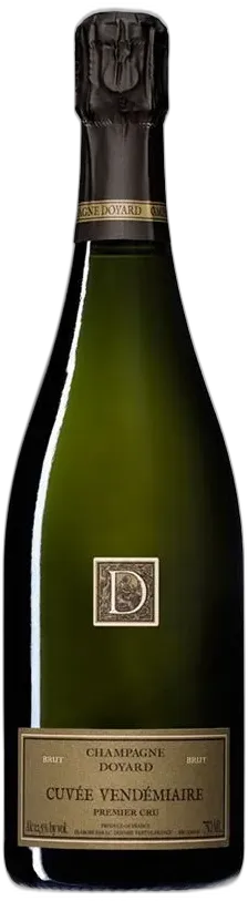 vue du vin Champagne Doyard, Vendemiaire